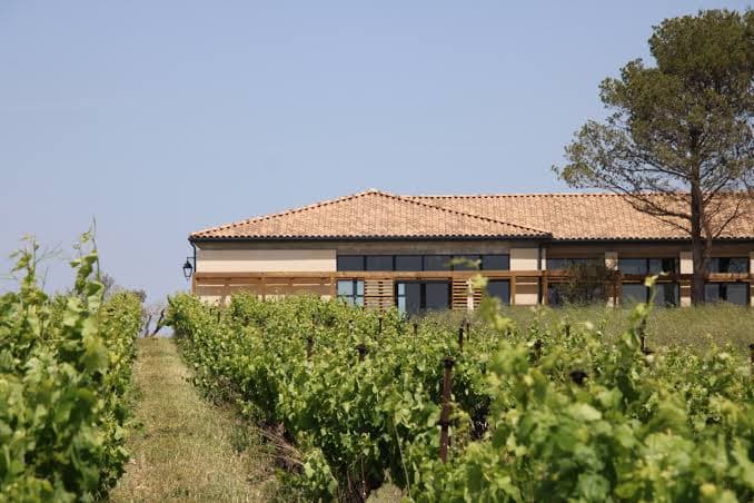 Exposition au Domaine Coste Moynier, vue 5