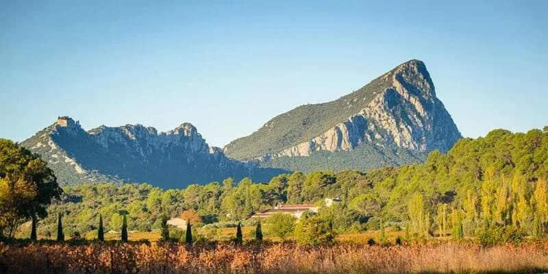Le Pic Saint-Loup, paysage emblématique du Languedoc qui inspire la peinture de Sylvia Lanco