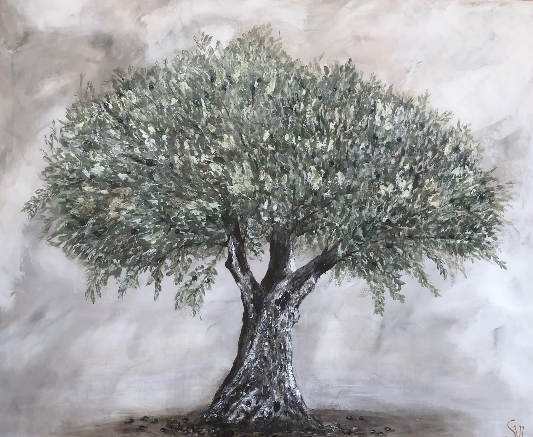 Peinture d'un olivier majestueux aux olives noires, sur fond patiné à la chaux